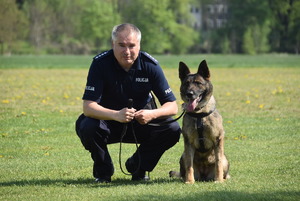 policjant w mundurze kuca na trawniku a obok niego pies owczarek niemiecki na smyczy