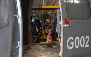 policjant przewdonik wchodzi z psem na smyczy do wnętrza śmigłowca