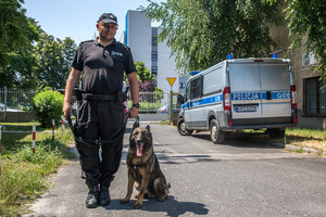 policjant stojąc trzyma na smyczy owczarka niemieckiego który siedzi. W tle widać radiwóz policyjny