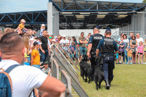 policjanci prezentują psy policyjne . wokół nich trybuny z ludźmi
