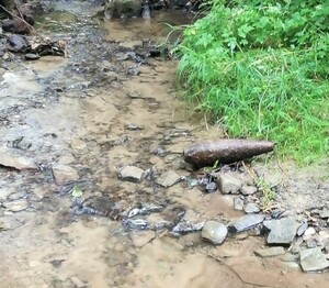 odnaleziony pocisk w korycie potoku