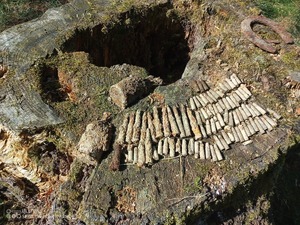 Amunicja wykopana z ziemi