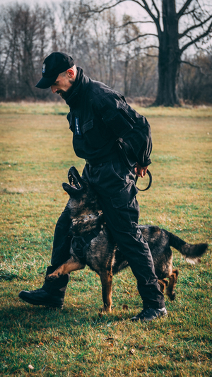 archiwalne zdjęcie - policjnat biegnie z psem
