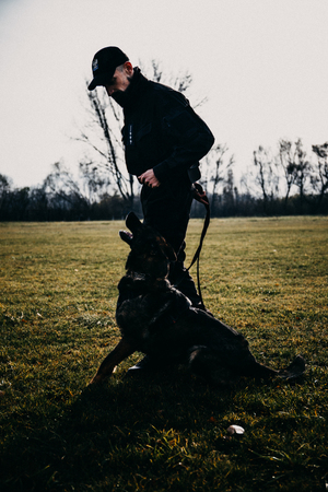 archiwalne zdjęcie - policjnat biegnie z psem drugie zdjęcie