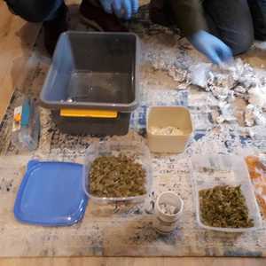 narkotyki rozłożone na stole w plastikowych pojemnikach 2