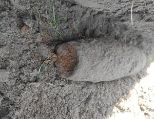 pocisk artyleryjski  Grądy