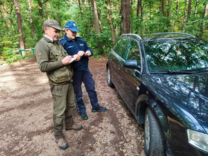 policjantka i strażnik leśni stojący przy samochodzie zaparkowanym w lesie
