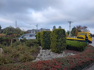 samochód na pasie zieleni na środku ronda