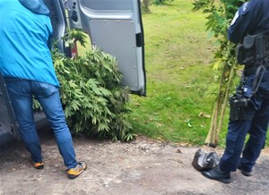 policjant z wydziału kryminalnego i wydziału prewencji wkładają krzewy do radiowozu