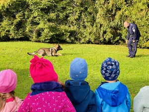 policjant pokazuje dzieciom posłuszeństwo psa służbowego wykonującego polecenia na zielonej trawie