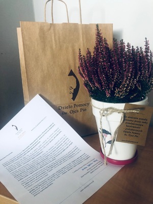 kartka z podziękowaniami, kwiat w doniczce, papierowa torba