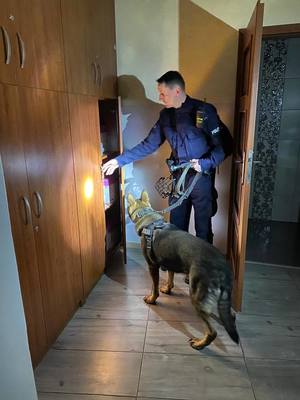 policjant z psem szukający ładunku wybochowego