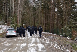 policjanci prewencji ruszają w teren leśny