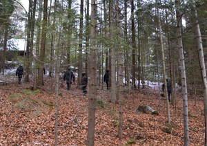 policjanci sprawdzają las w poszukiwaniu przestępców