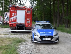 radiowozy w puszczy niepołomickiej