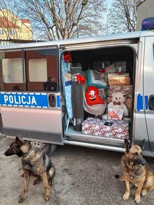 policyjne psy przy radiowozie z podarunkami
