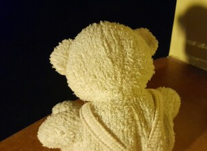 Samotny pluszowy miś