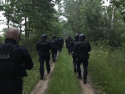 Policjanci OPP w trakcie przeszukiwania terenów leśnych