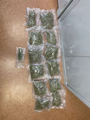 kilkanaście woreczków foliowych z zawartością zielonego suszu