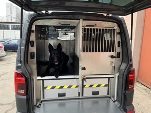otwarty bagażnik i pies leżący w kaltce  w nowym VW transporterze