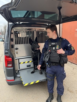 policjant z psem slużbowym który siedzi na podeście w nowym samochodzie
