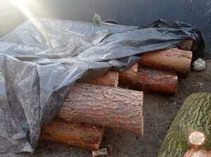 kawałki drzewa przykryte folią