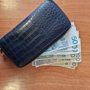 portfel z pieniędzmi