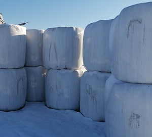 bele z sianokiszonką