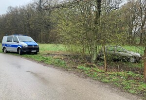 radiowóz przy ulicy, samochód osobowy w zaroślach