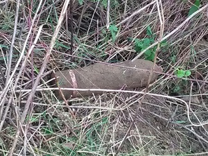 zabezpieczony niewybuch w starym sączu