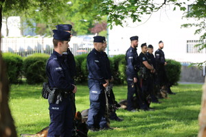 policjanci w szeregu z psami na odprawie przed zawodowymi