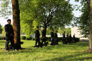 policjanci w szeregu z psami na odprawie przed zawodowymi. inne ujęcie