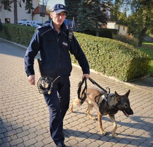 przewodnik psa służbowego w mundurze oraz owczarek Motyw