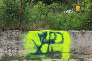 pomalowany mur zieloną farbą