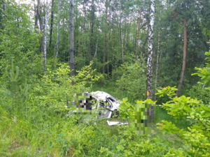 rozbity na drzewie w masywie leśnym  samochód marki Citroen
