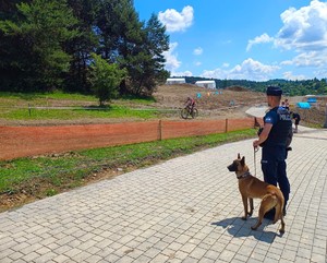 policjan z psem patroluje rejon Igrzysk Europejskich
