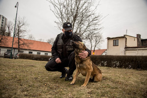 policjant  kuca i patrzy na swojego psa