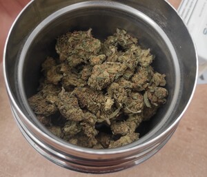 słoik z zawartością suszu marihuany