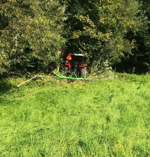 ciągnik w zaroślach