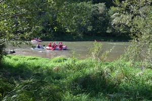 Ratownicy - na pontonach i deskach sup przeszukują koryto rzeki