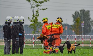 pracownicy firmy oraz strażacy z psami