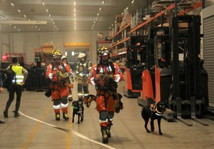 strażacy poszukiwacze z psami na terenie hali