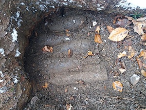 cztery granaty moździerzowe ułożone obok siebie wraz z pociskiem artyleryjskim znajdujące się w dole posypane ziemią oraz liśćmi z drzew.