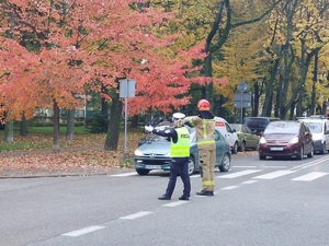 Policjantka i strażak w trakcie szkolenia w tle ruch samochodowy i drzewa