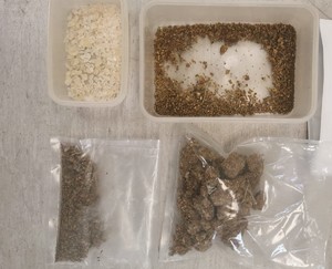 poporcjowane narkotyki w woreczkach i w pudełkach