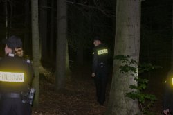 policjanci w lesie w trakcie poszukiwań zaginionego