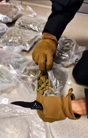 policjant rozcina nożem foliowy worek z marihuaną - printscreen z nagrania video