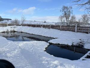 zdjecie prezentujące staw, w którym ujawniono zwłoki