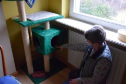 kobieta_przy_drapaku_pokjazujaca_kota