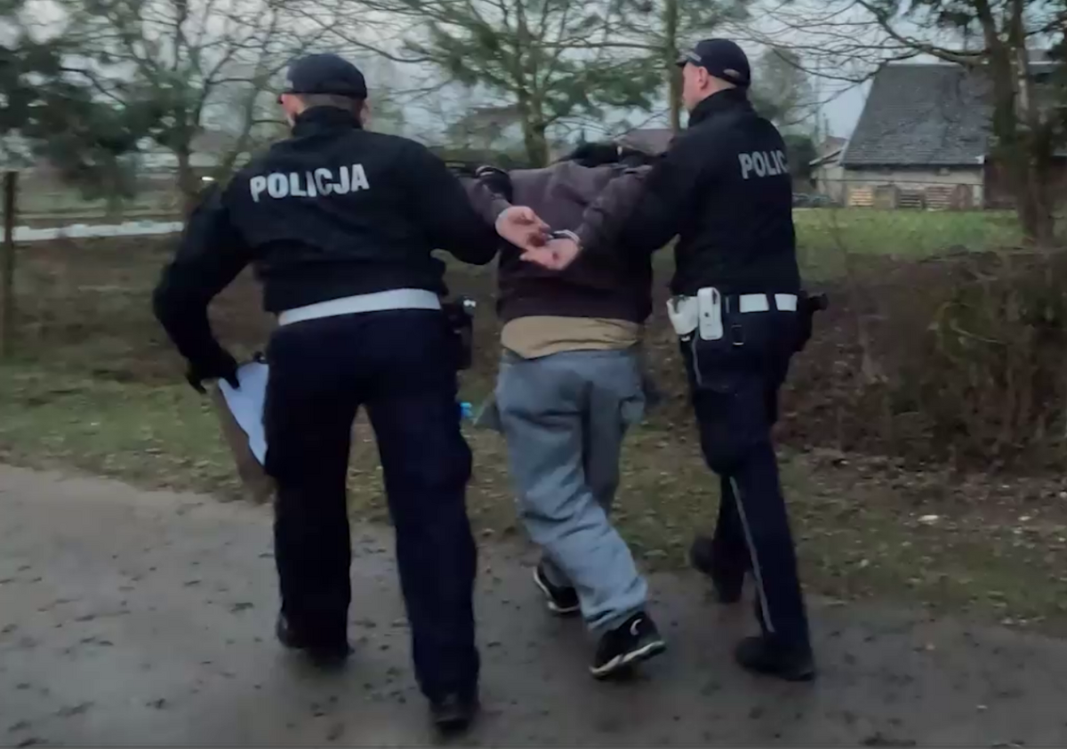 Policjanci rozbili grupę przestępczą zajmującą się włamaniami i kradzieżami